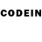 Псилоцибиновые грибы GOLDEN TEACHER ADHD