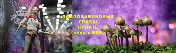 дурь Бежецк