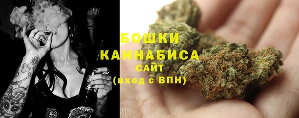 бошки Осинники