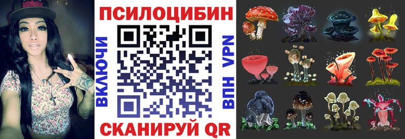 KRAKEN   Чита  Галлюциногенные грибы Magic Shrooms 